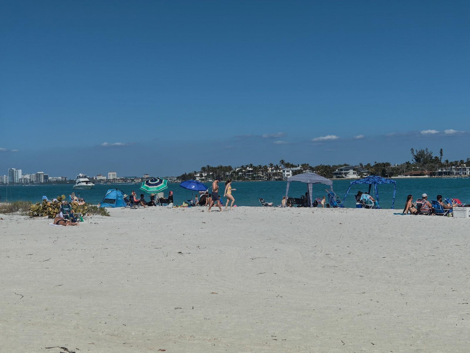 Image 82 of 100 For 1770 Benjamin Franklin Drive 206