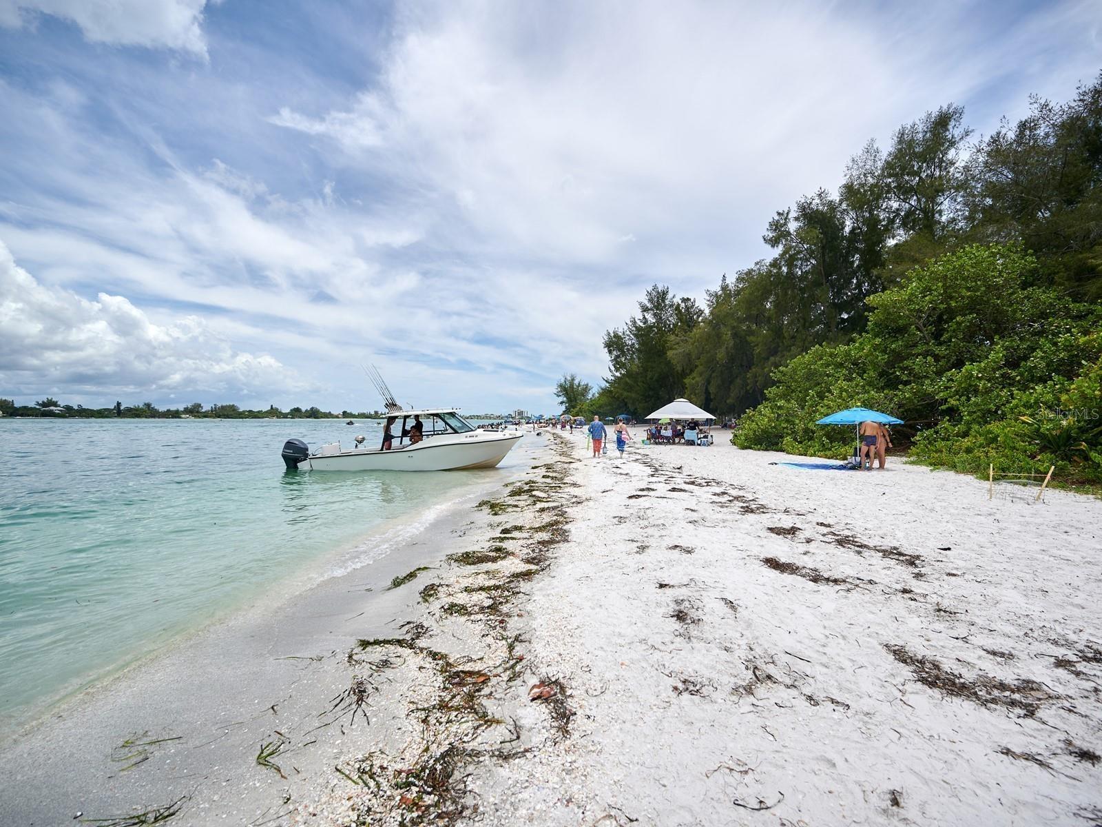 Image 88 of 100 For 1770 Benjamin Franklin Drive 206