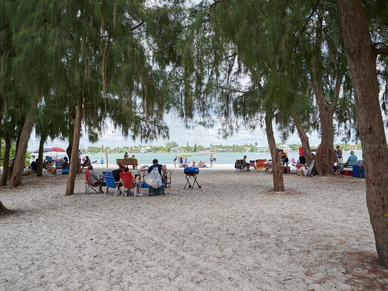 Image 90 of 100 For 1770 Benjamin Franklin Drive 206