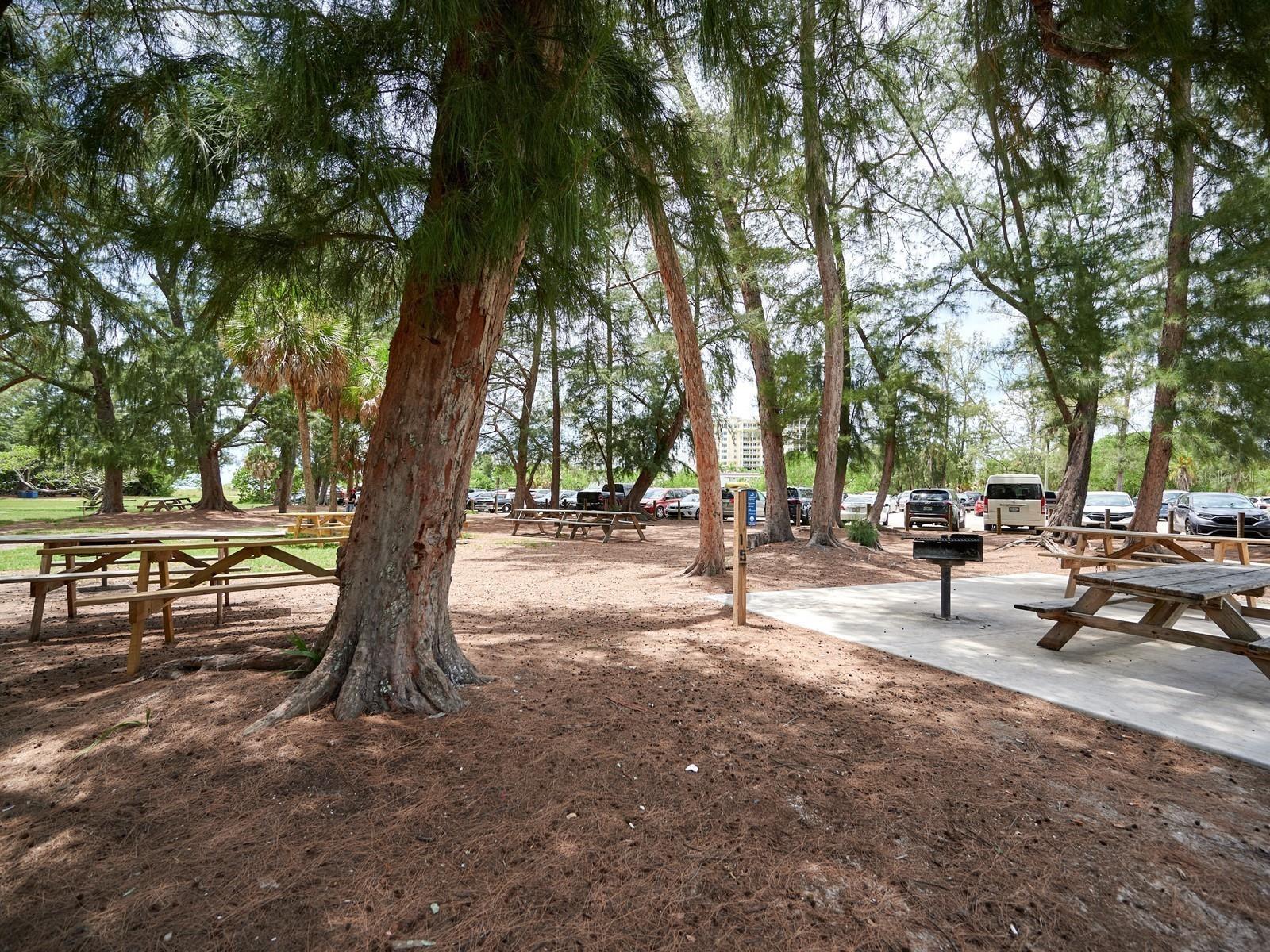 Image 93 of 100 For 1770 Benjamin Franklin Drive 206