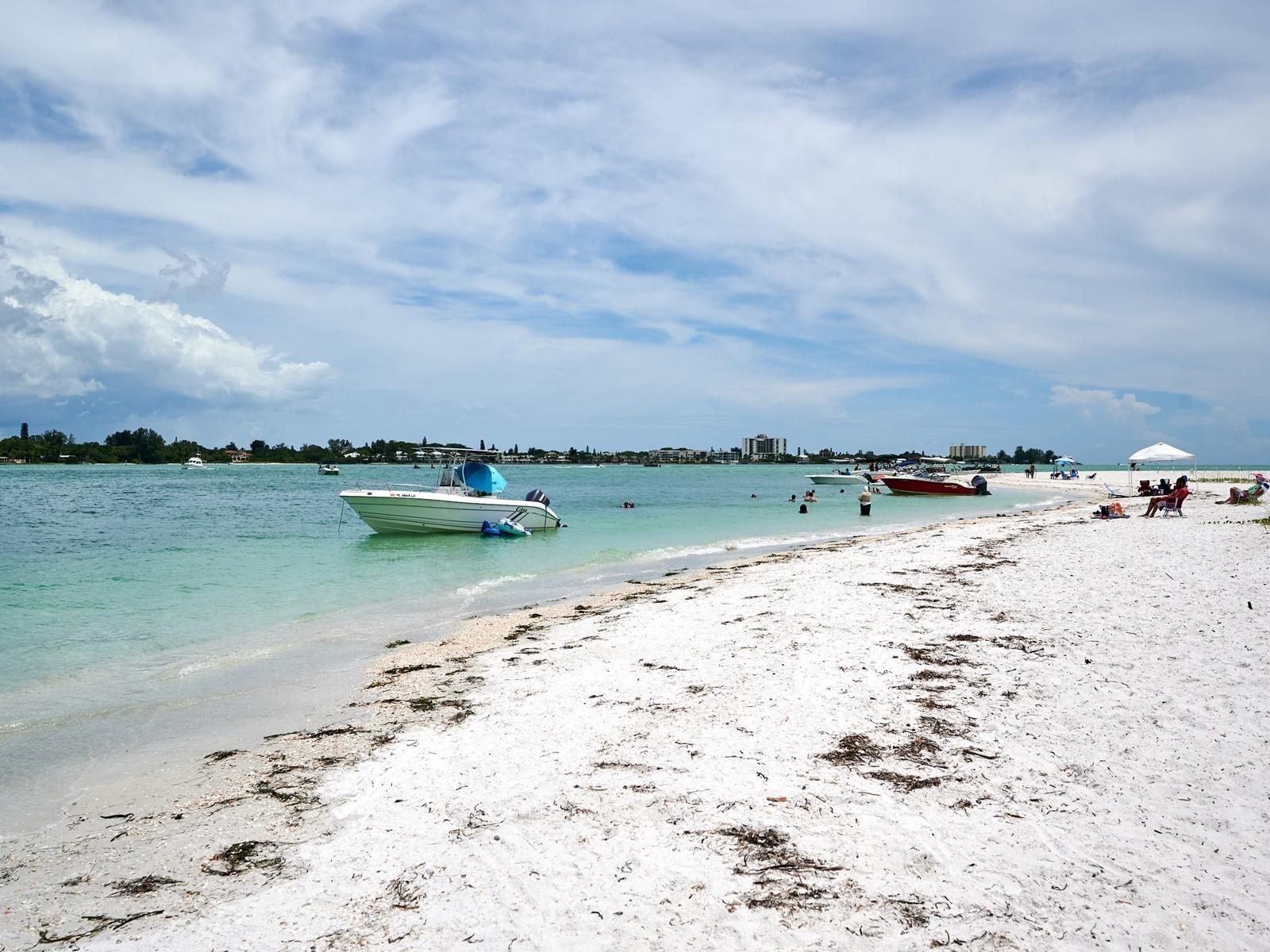 Image 94 of 100 For 1770 Benjamin Franklin Drive 206