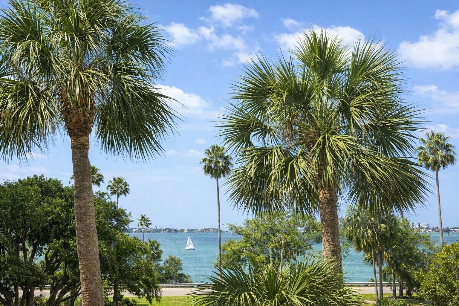 Image 13 of 27 For 707 Gulfstream Avenue 307