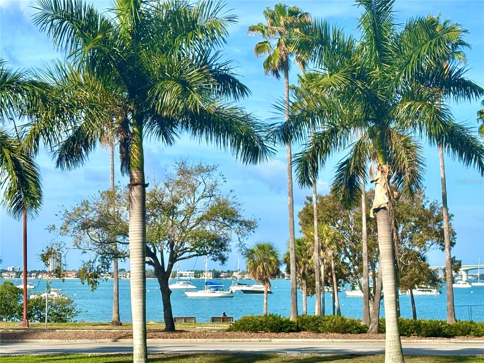 Image 4 of 27 For 707 Gulfstream Avenue 307