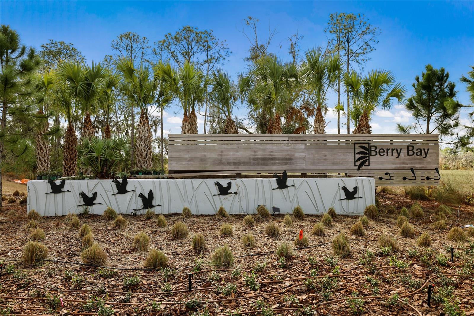 Image 45 of 62 For 5552 Blue Azure Drive