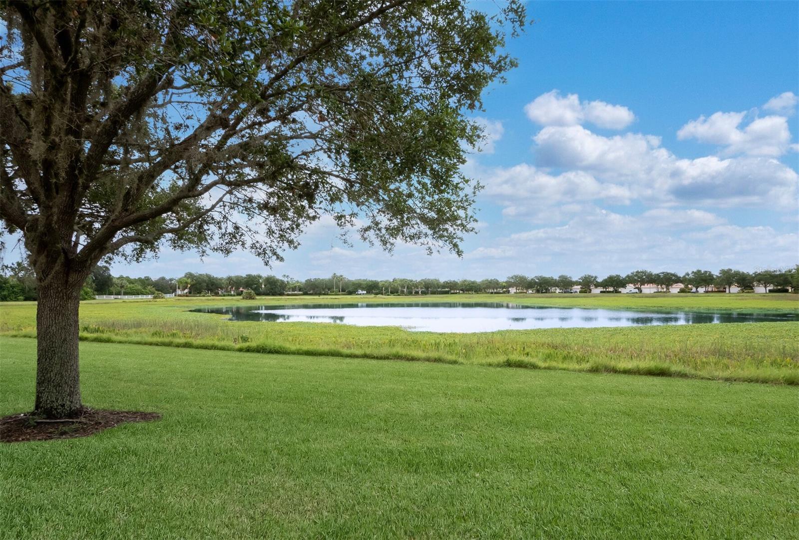 Image 32 of 43 For 7811 Bergamo Avenue