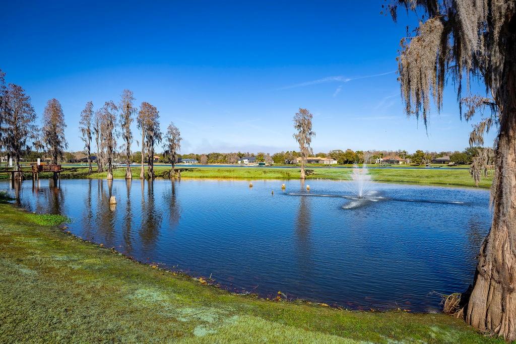 Image 10 of 61 For 17933 Patterson Road