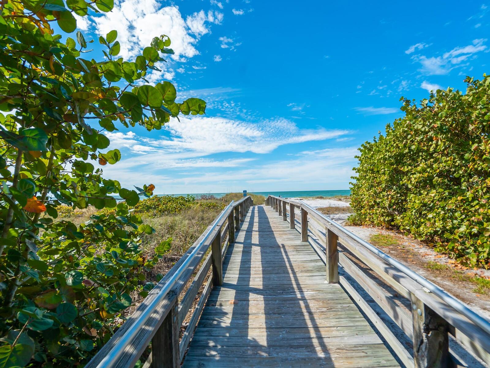 Image 68 of 68 For 501 Norton Street