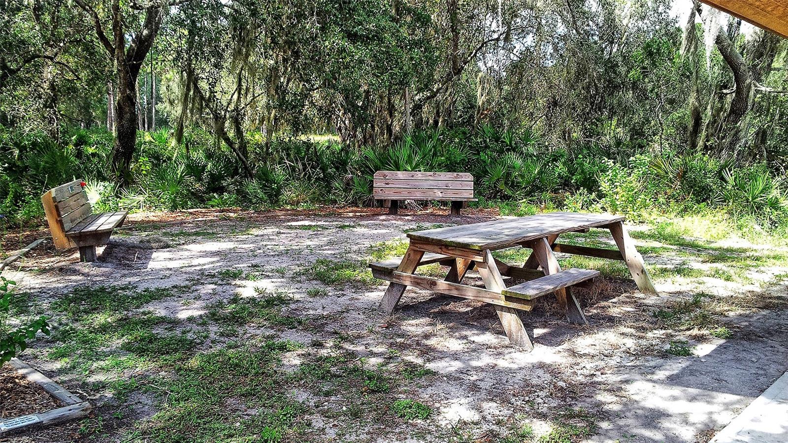 Image 91 of 98 For 4029 Crockers Lake Boulevard 1811