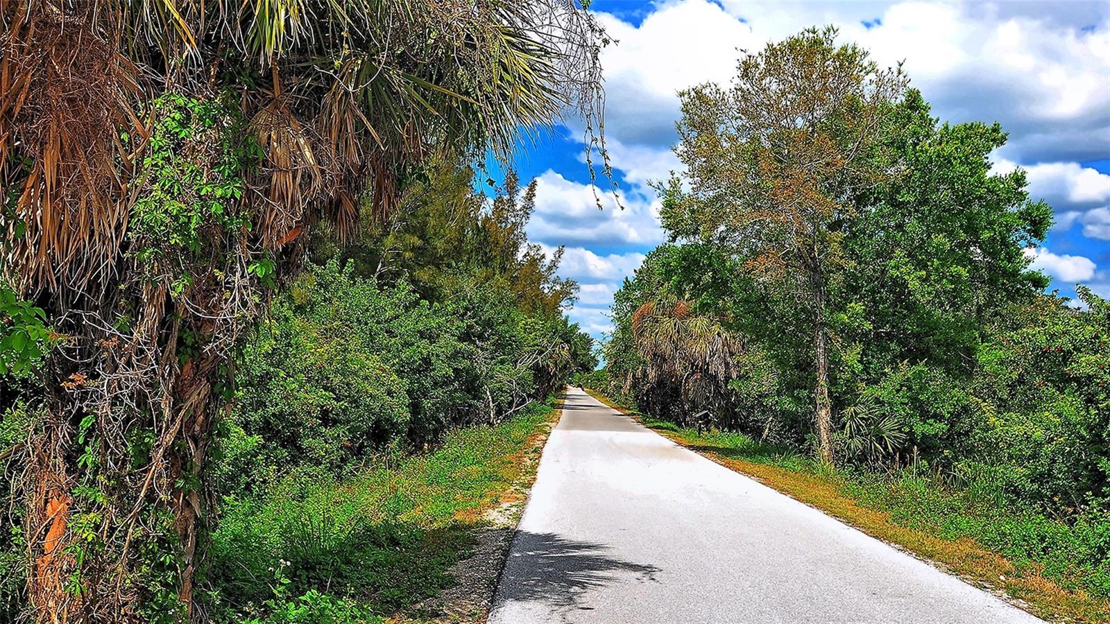 Image 92 of 98 For 4029 Crockers Lake Boulevard 1811