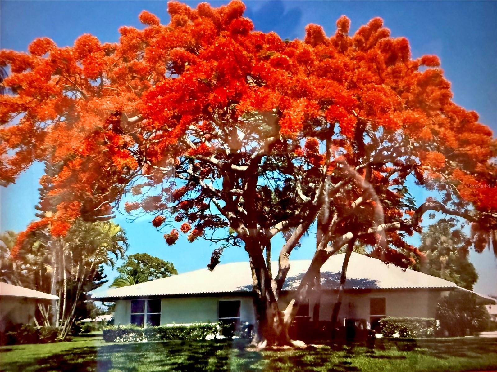 Image 2 of 32 For 6712 11th Avenue W 5601