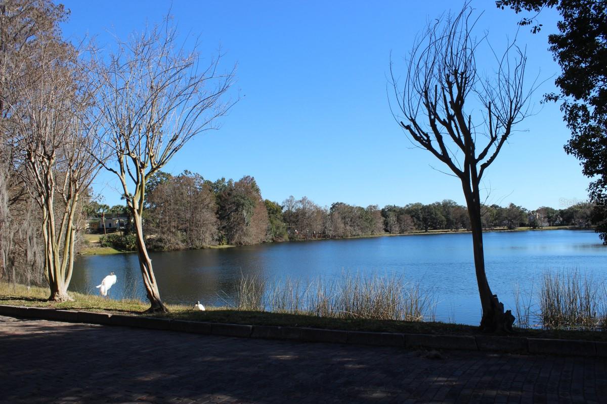 Image 26 of 26 For 527 Osceola Avenue 1