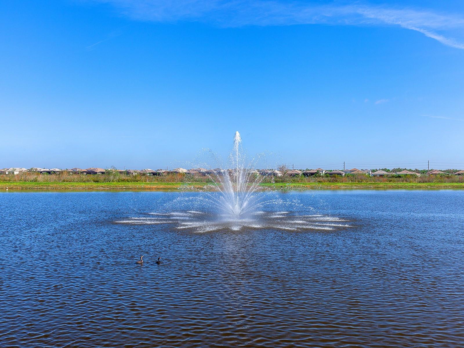 Image 56 of 66 For 8191 Redonda Loop