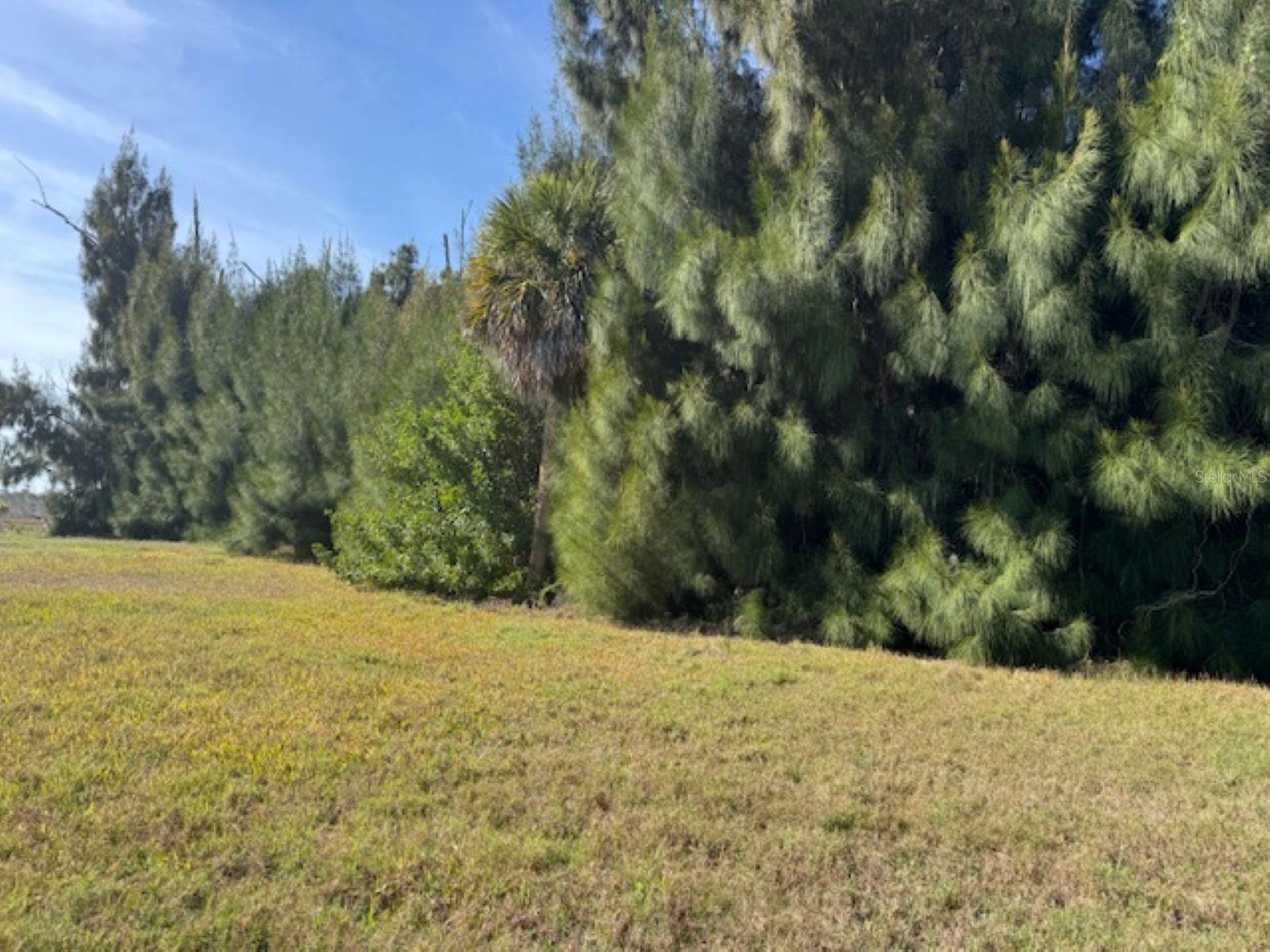 Image 3 of 9 For 75 Green Dolphin Drive N