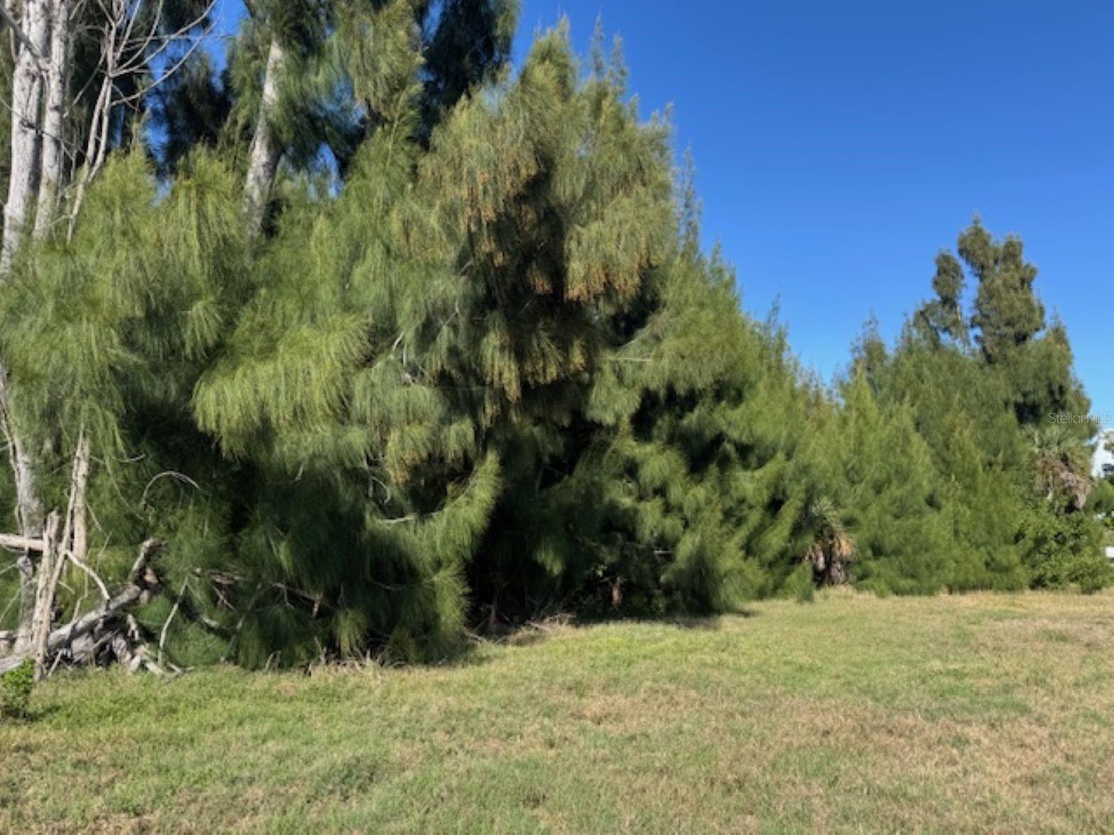 Image 4 of 9 For 75 Green Dolphin Drive N