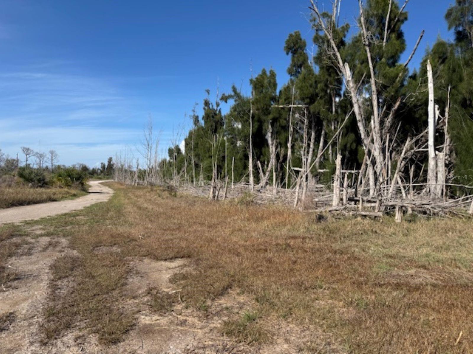 Image 5 of 9 For 75 Green Dolphin Drive N