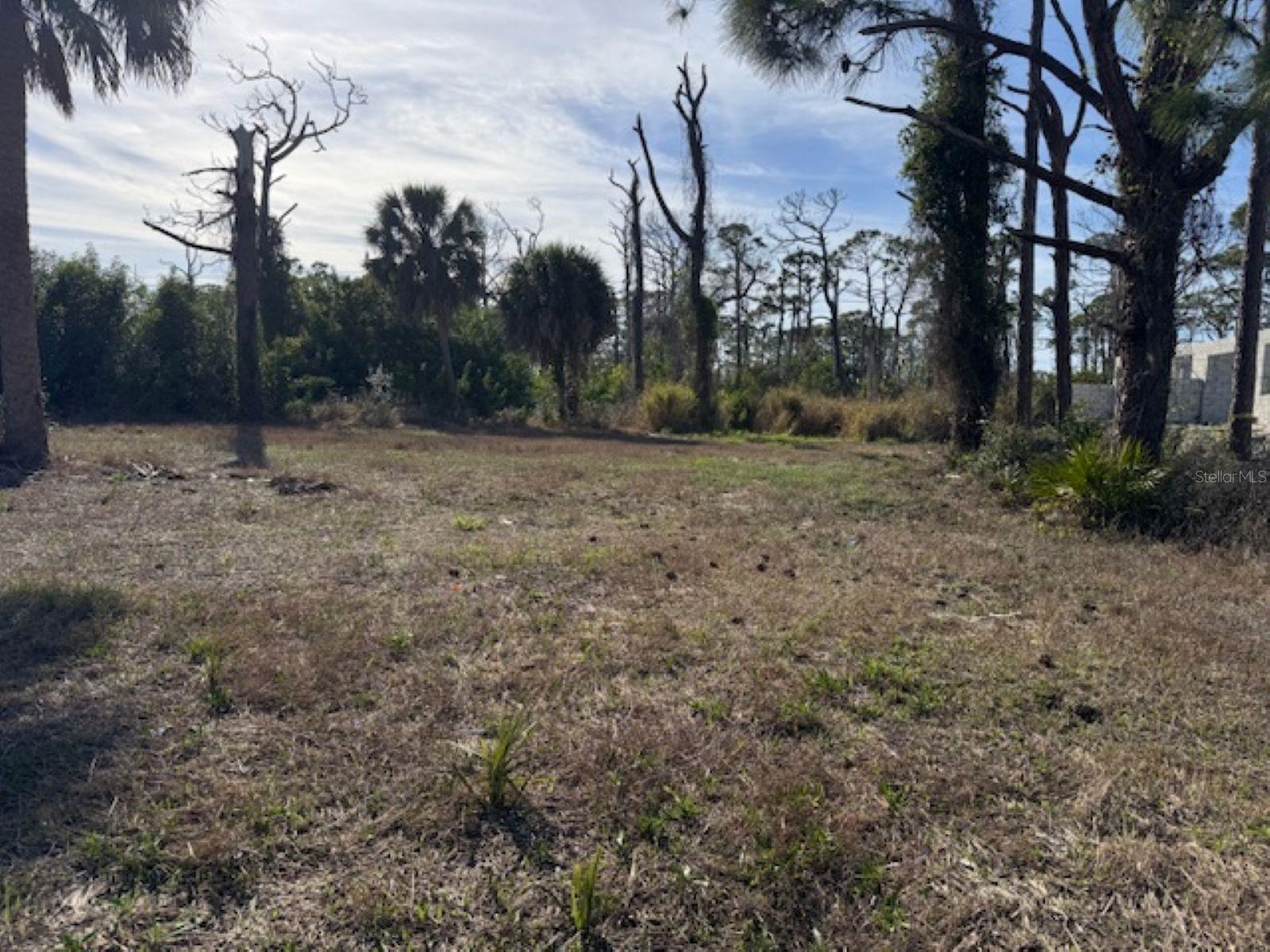 Image 3 of 8 For 237 Boundary Boulevard