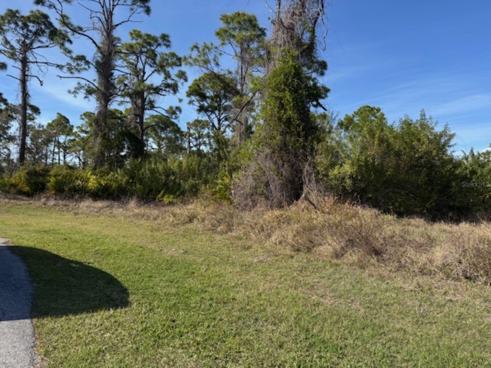 Image 4 of 6 For 102 Beryl Drive