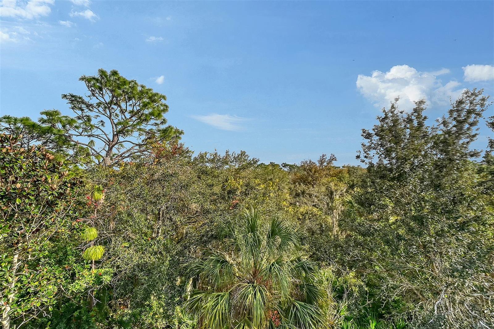 Image 48 of 65 For 8922 White Sage Loop