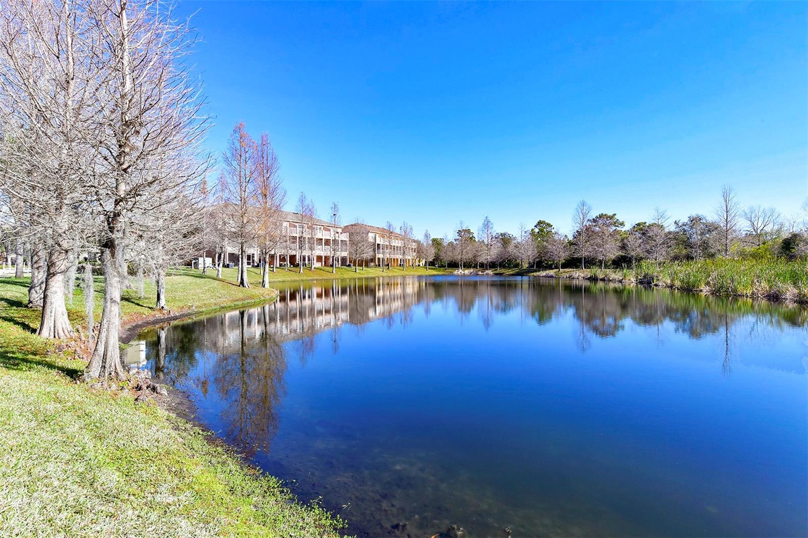 Image 62 of 65 For 8922 White Sage Loop