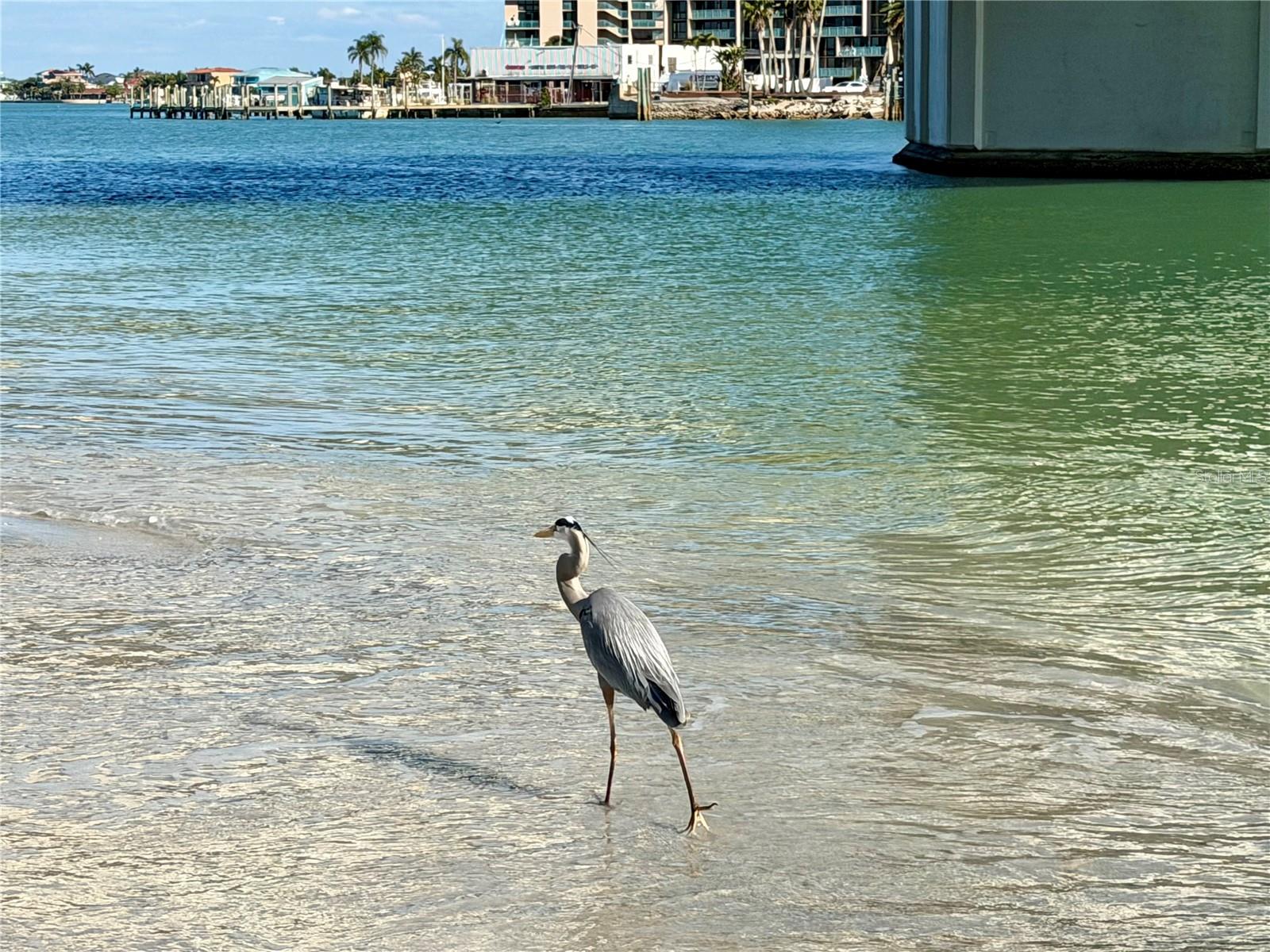 Image 30 of 35 For 200 140th Avenue E W