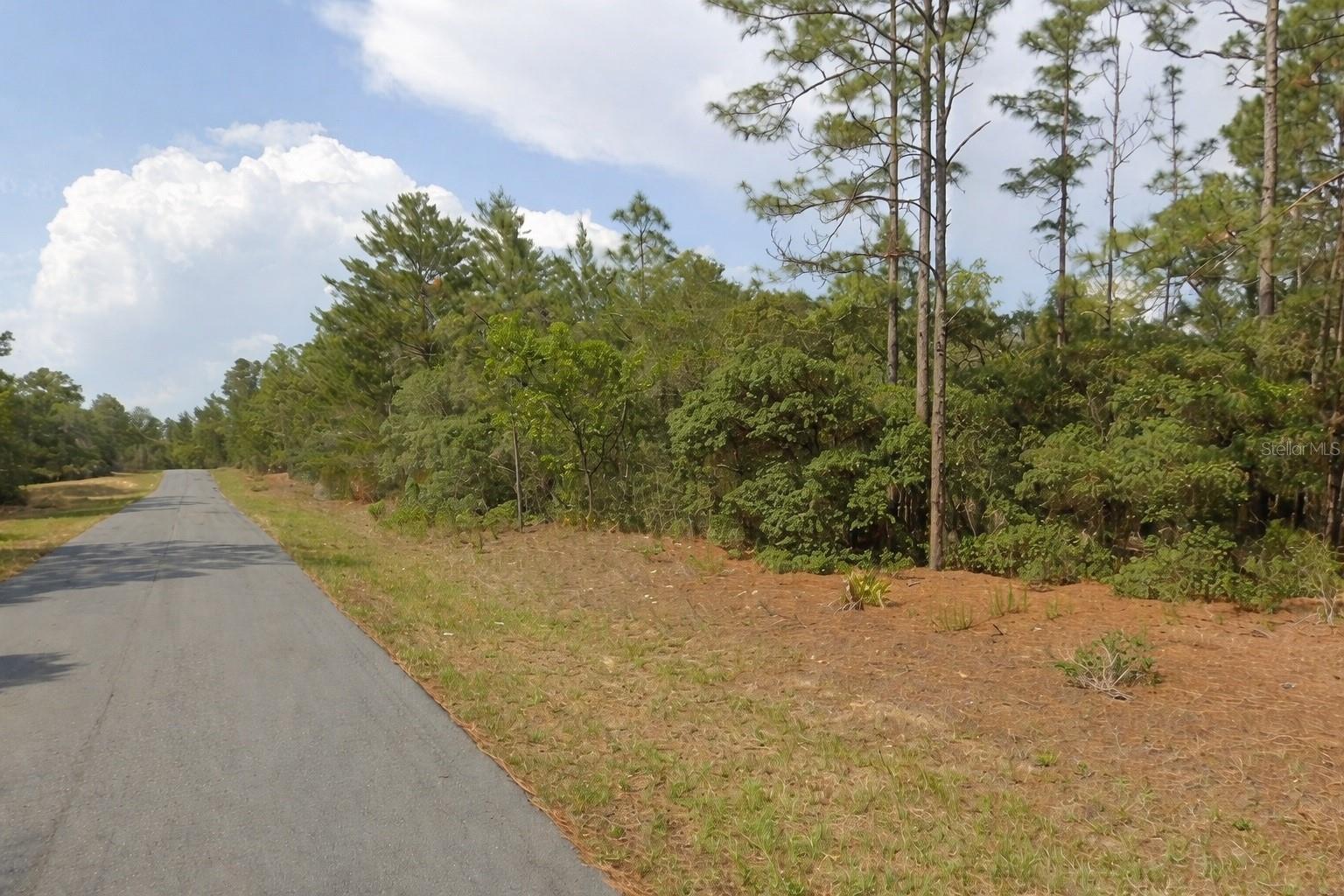 Details for 11033 Trigger Terrace, CITRUS SPRINGS, FL 34433