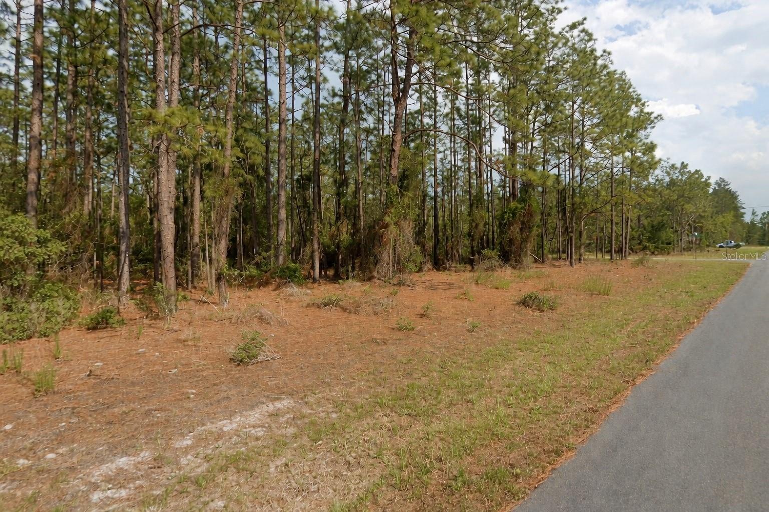 Image 2 of 6 For 11033 Trigger Terrace