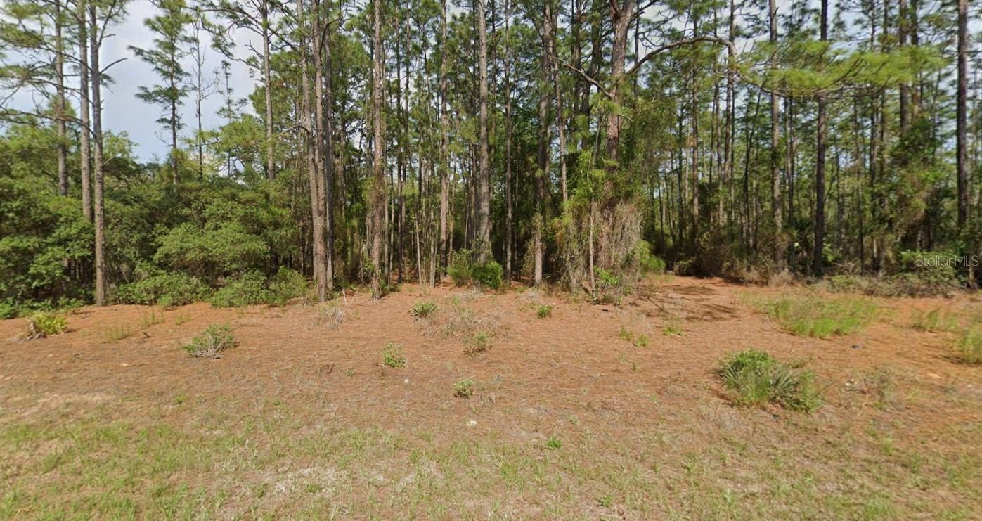 Image 4 of 6 For 11033 Trigger Terrace