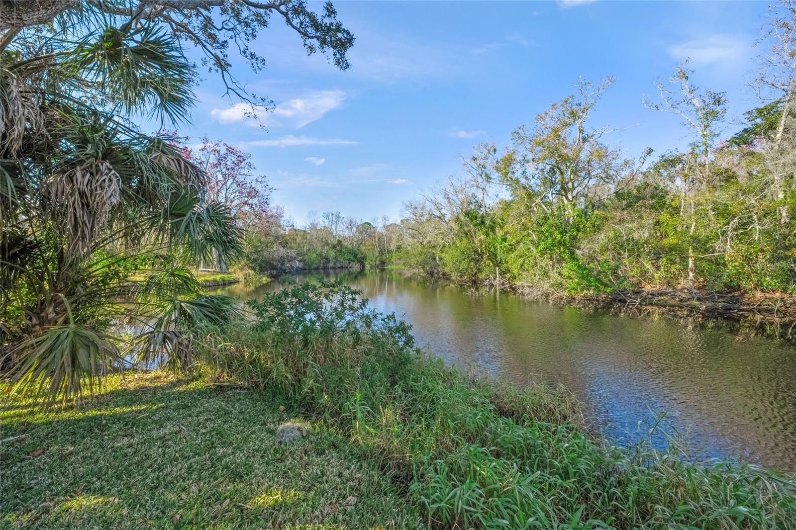 Image 50 of 53 For Address Not Provided