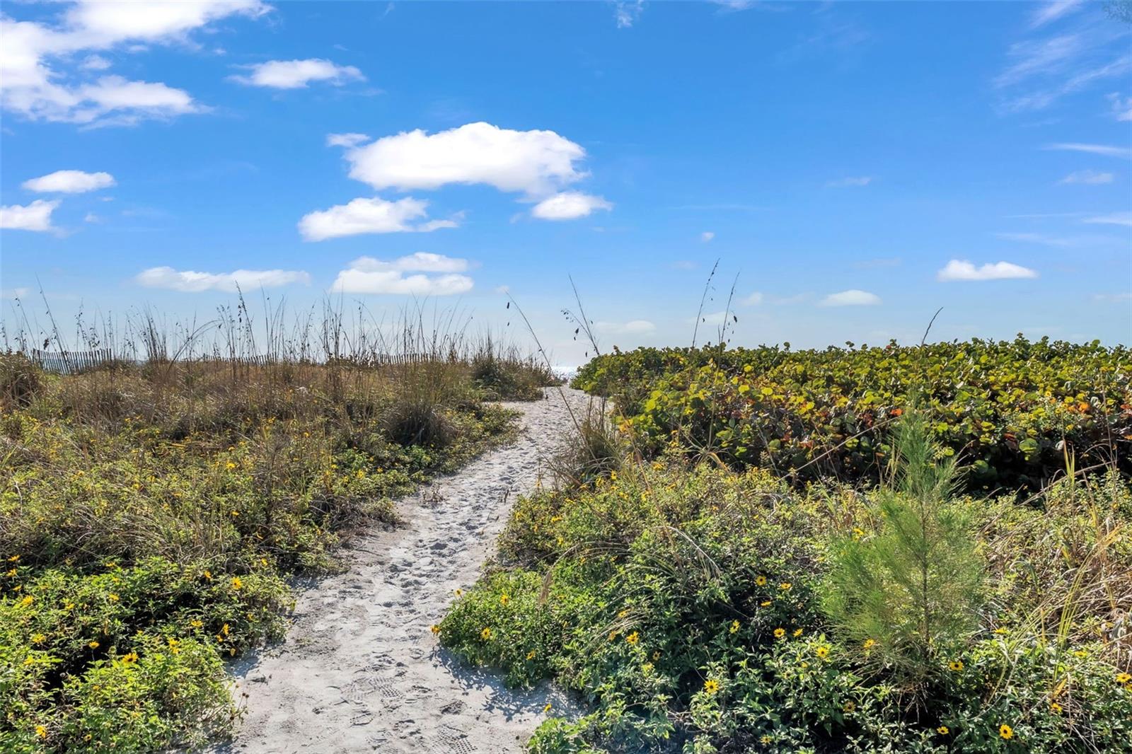 Image 54 of 61 For 5635 Gulf Of Mexico Drive 202