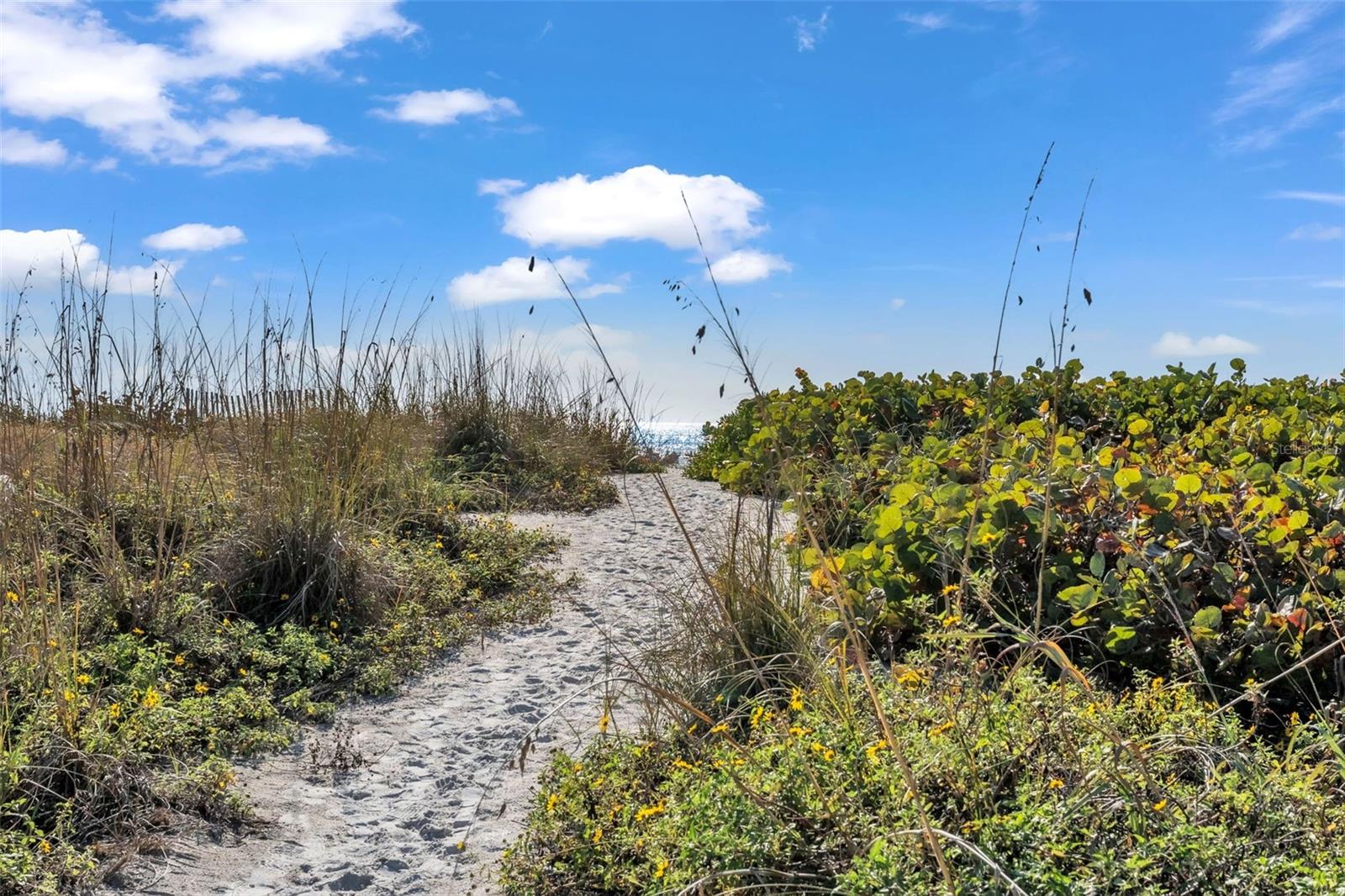Image 55 of 61 For 5635 Gulf Of Mexico Drive 202