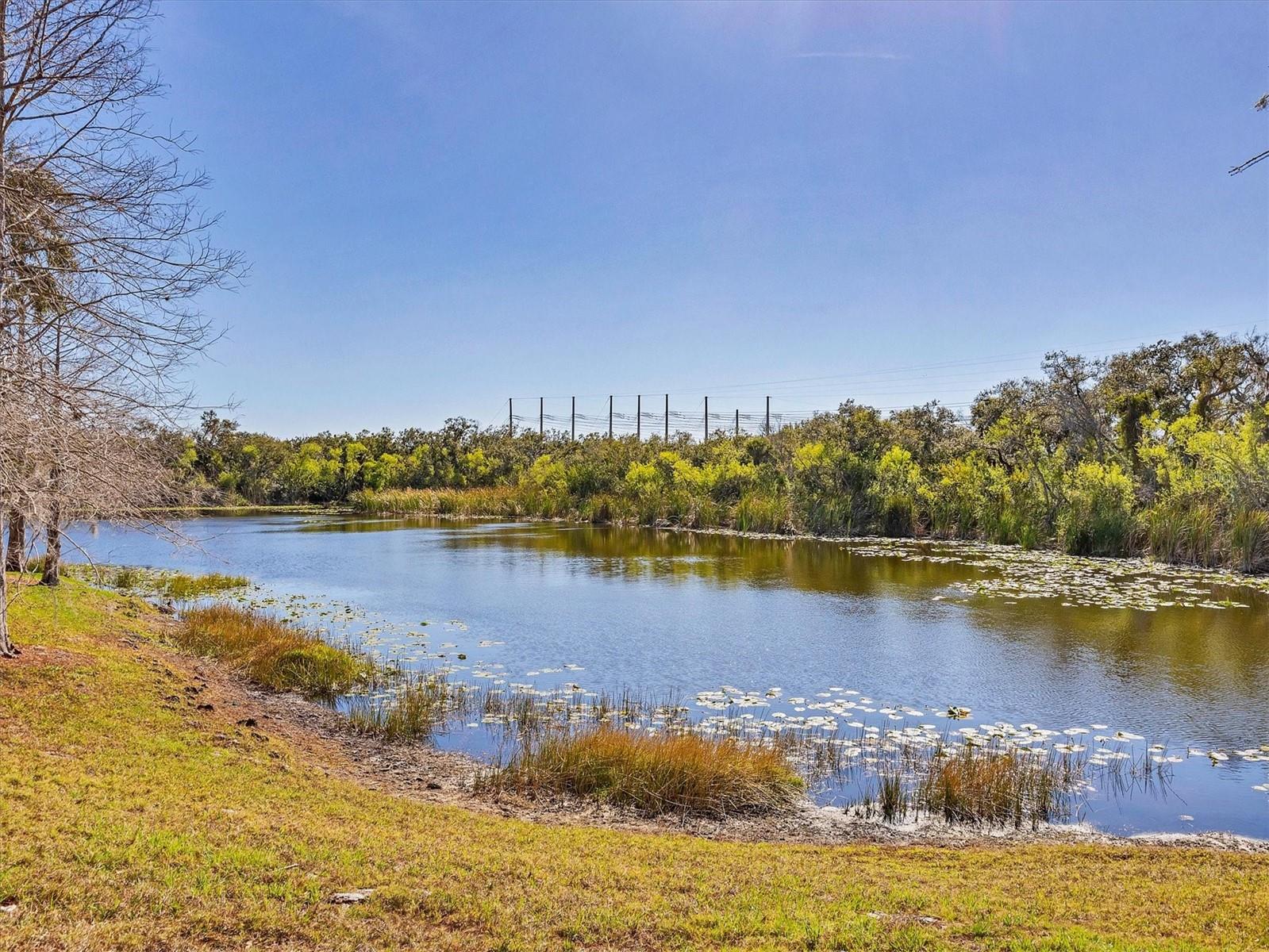 Image 36 of 41 For 8717 Spruce Hills Court 8717