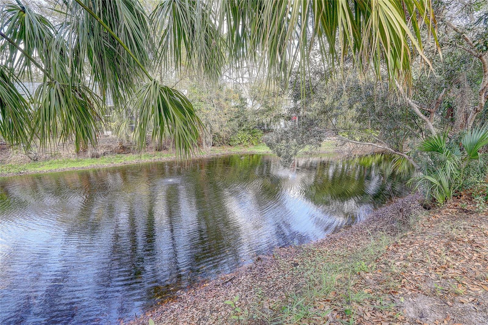 Listing photo id 35 for 3696 Quiet Pond Lane