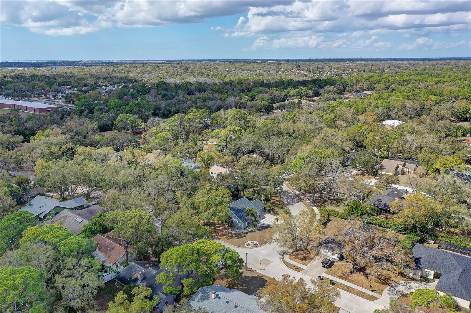 Listing photo id 47 for 3696 Quiet Pond Lane