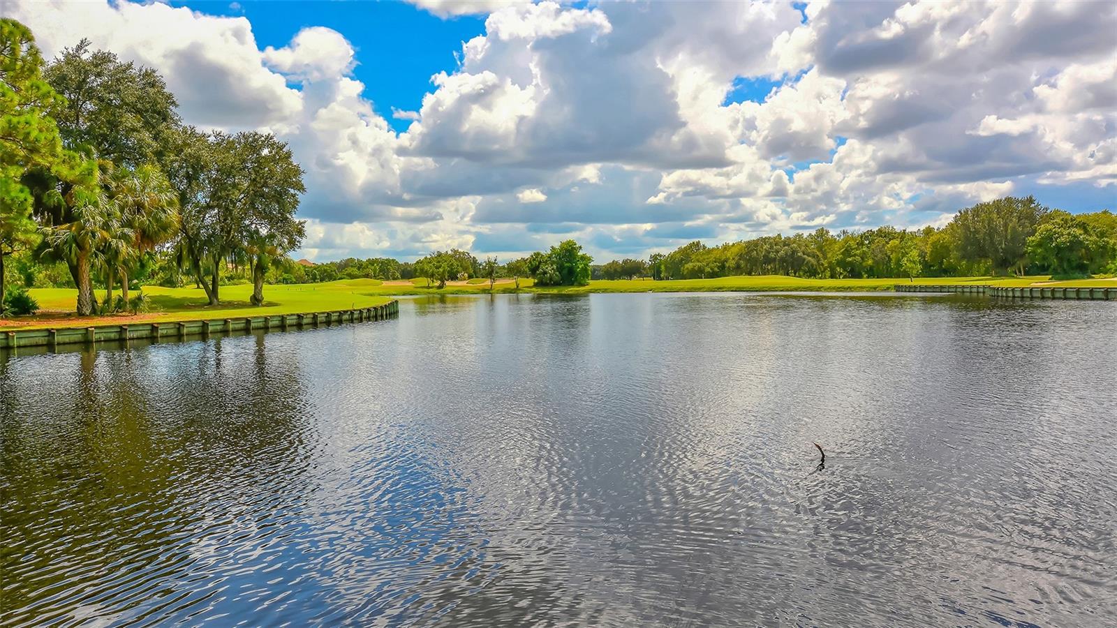 Image 55 of 55 For 7318 Windemere Lane