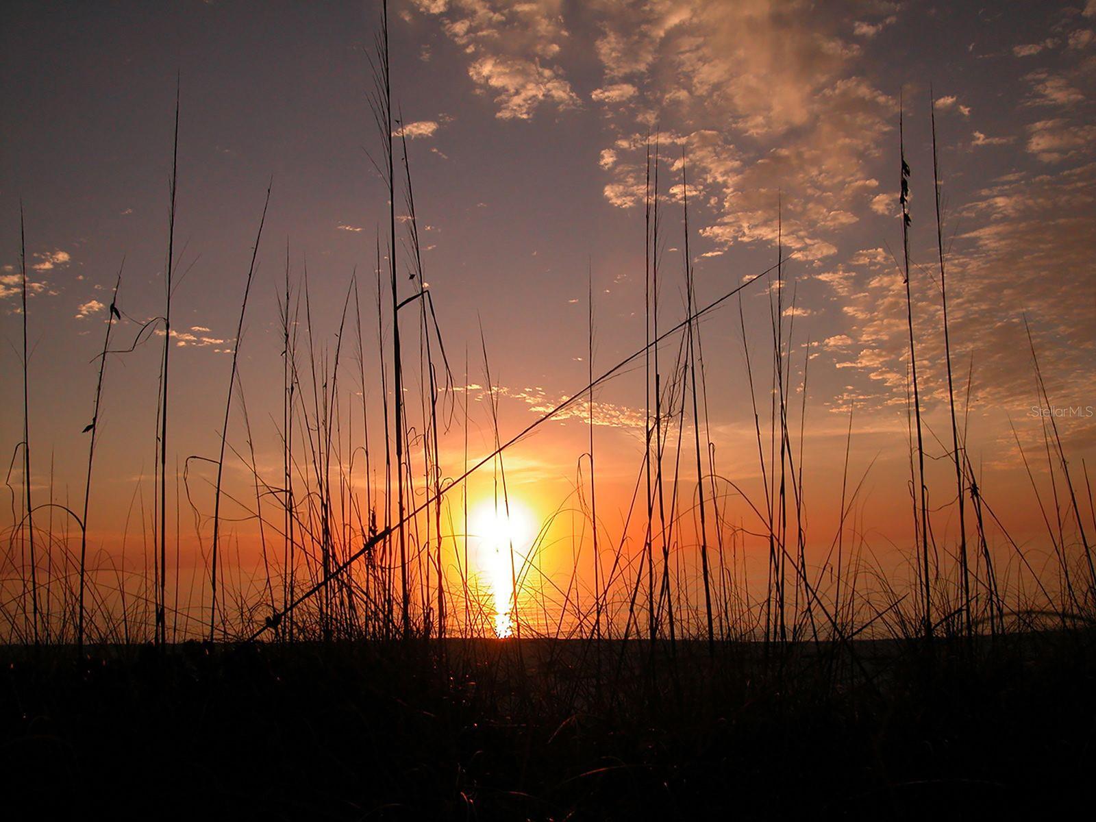 Image 20 of 32 For 5055 Gulf Of Mexico Drive 412