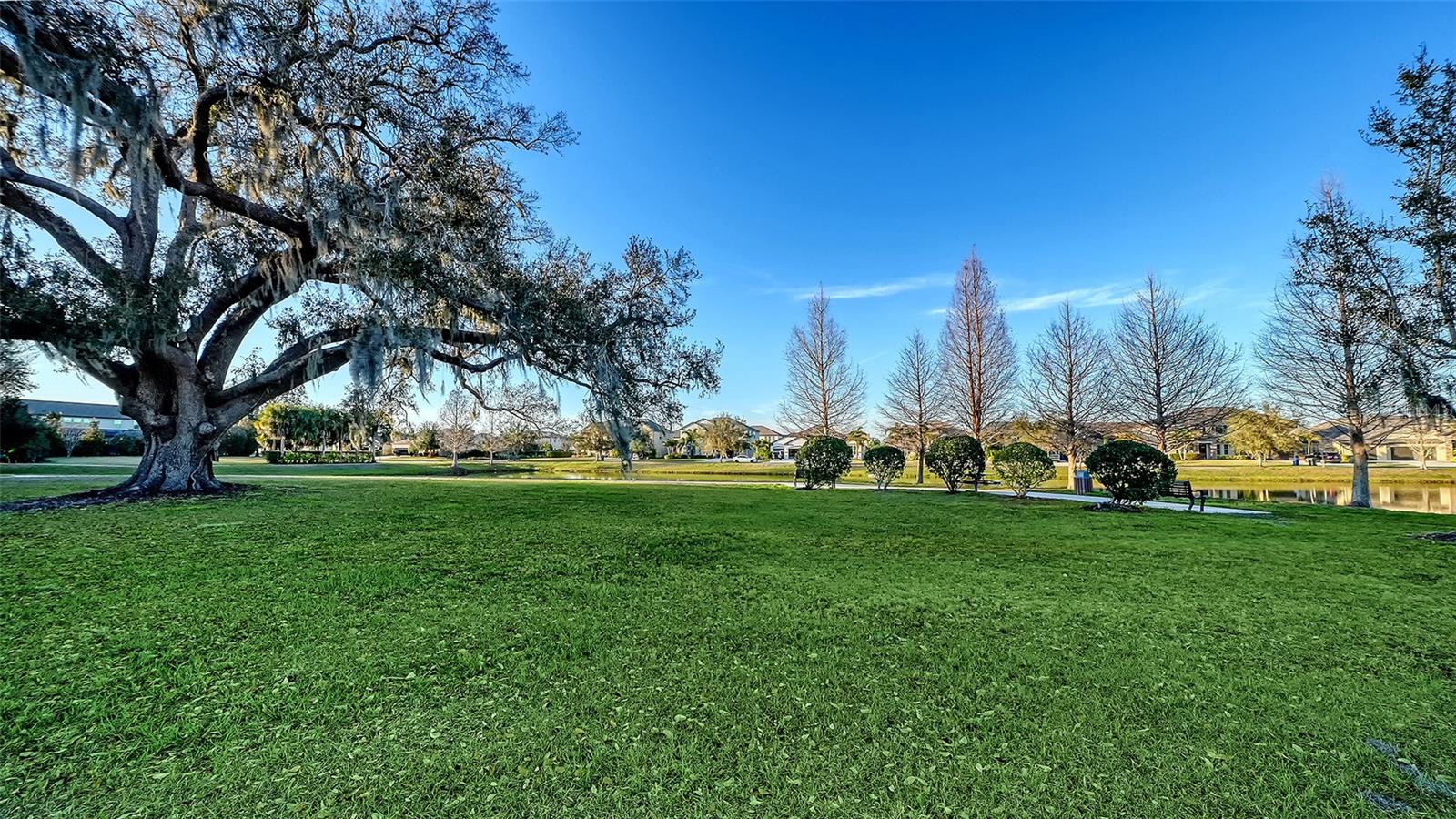 Image 60 of 67 For 13071 Utopia Loop