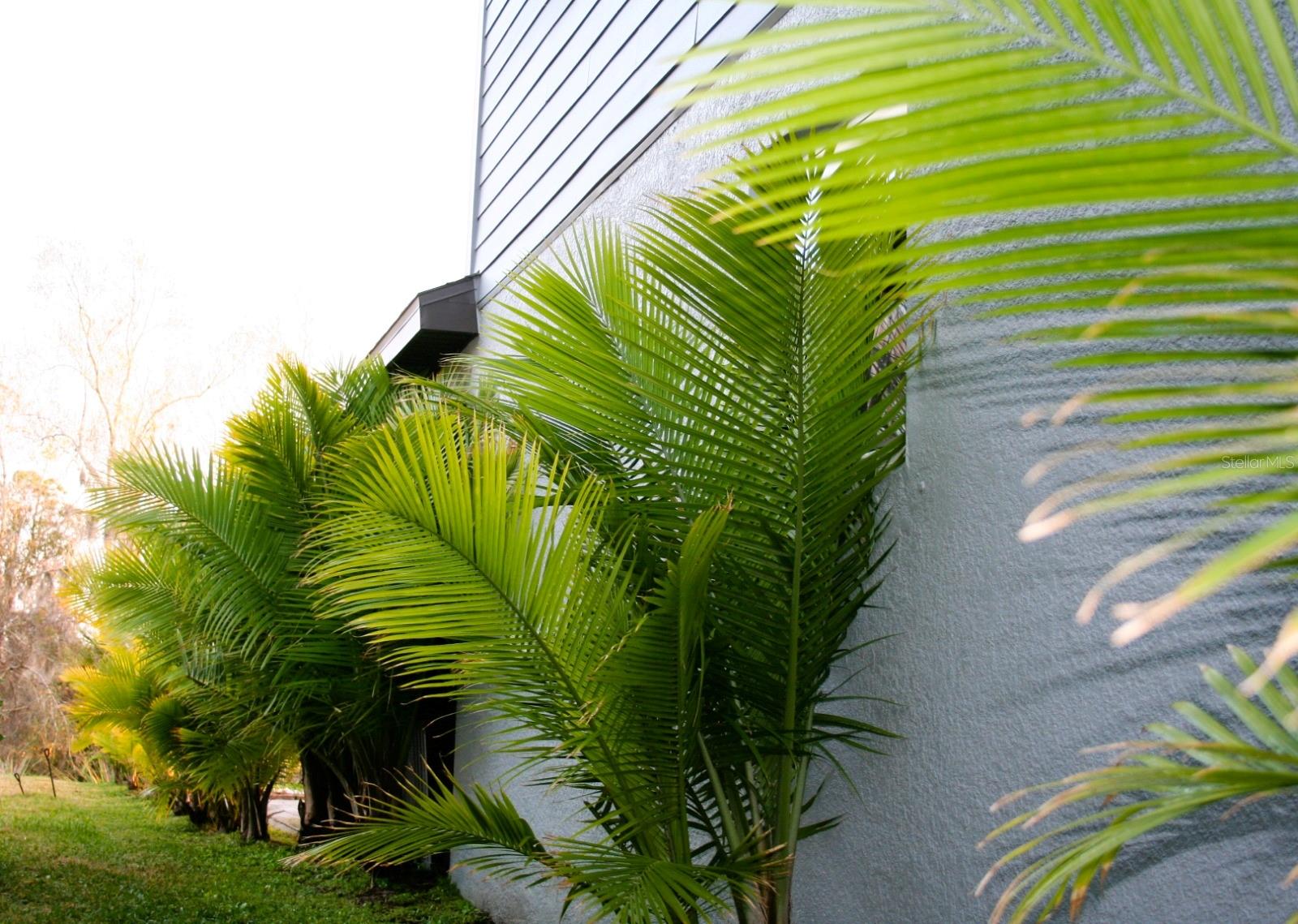 Image 16 of 47 For 8323 Reefbay Cove