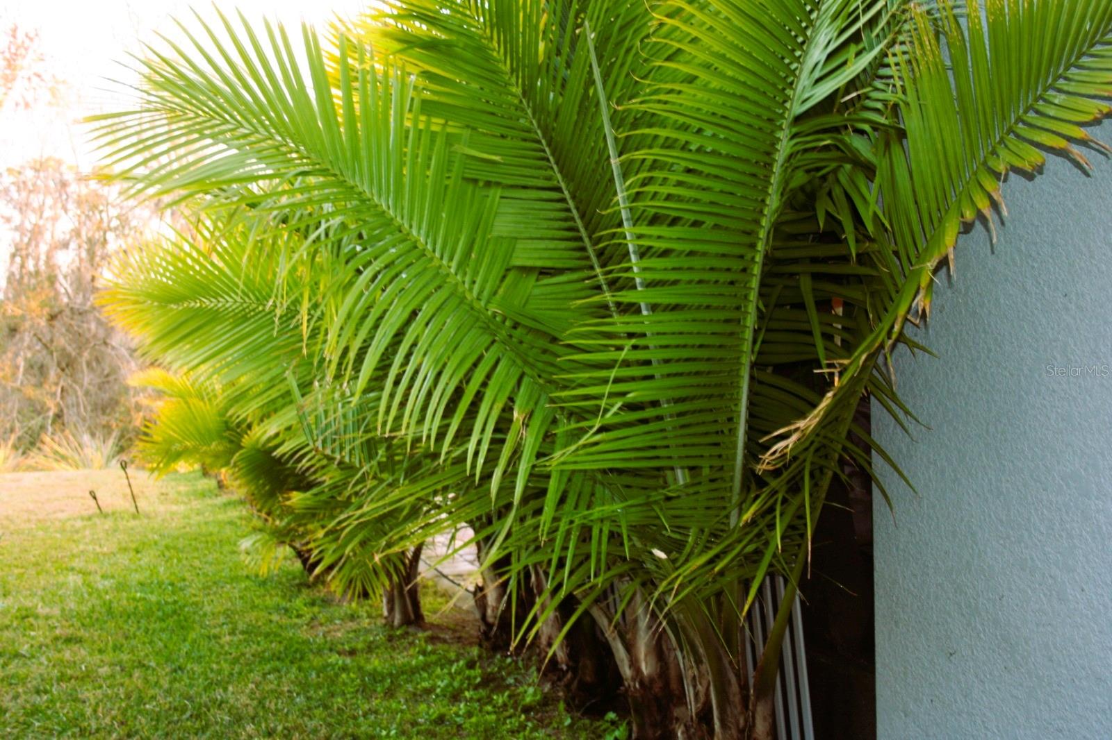 Image 17 of 47 For 8323 Reefbay Cove