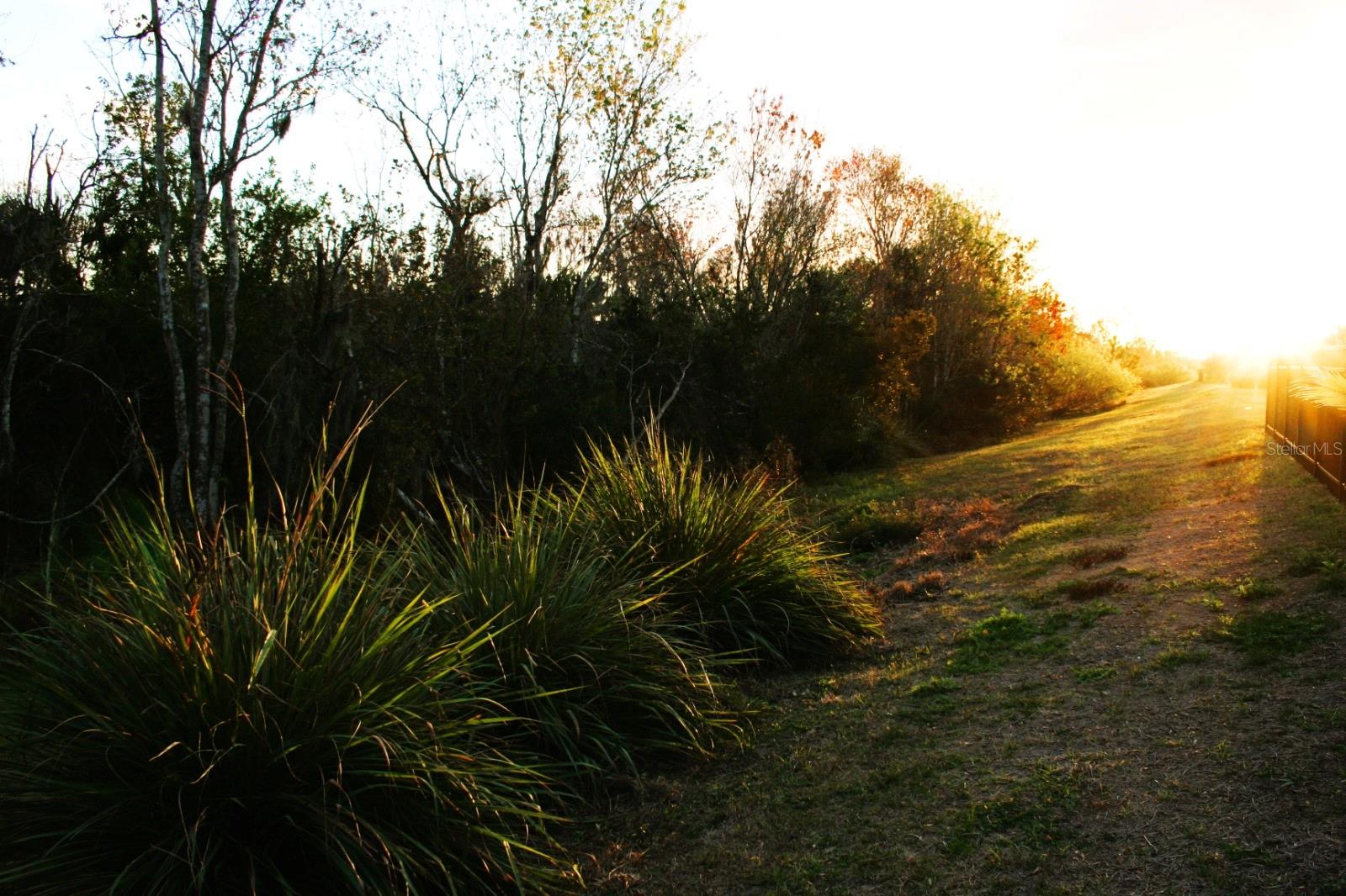 Image 20 of 47 For 8323 Reefbay Cove