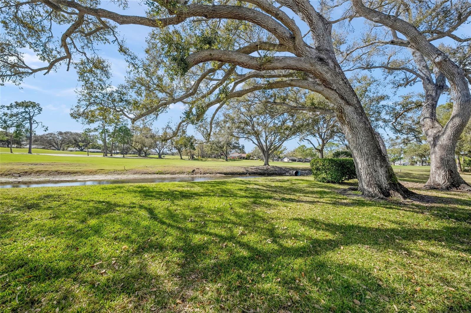 Image 6 of 41 For 7860 Palm Aire Lane 105