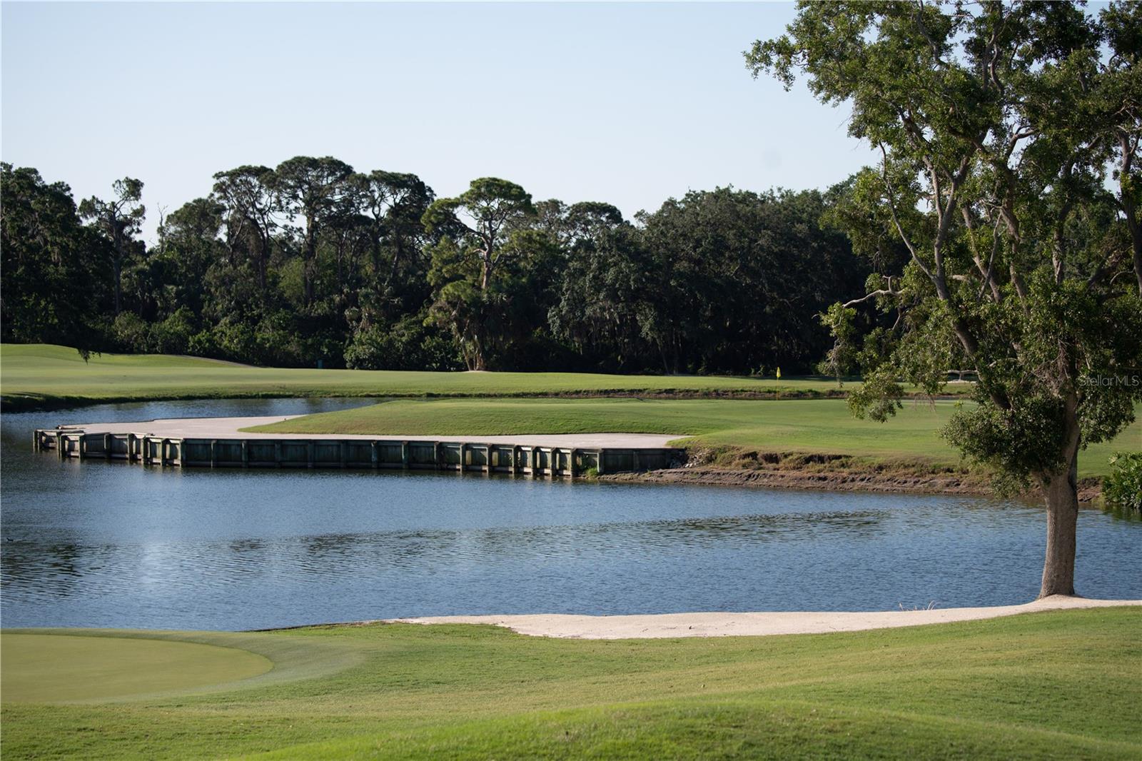 Listing photo id 79 for 7715 Calle Facil