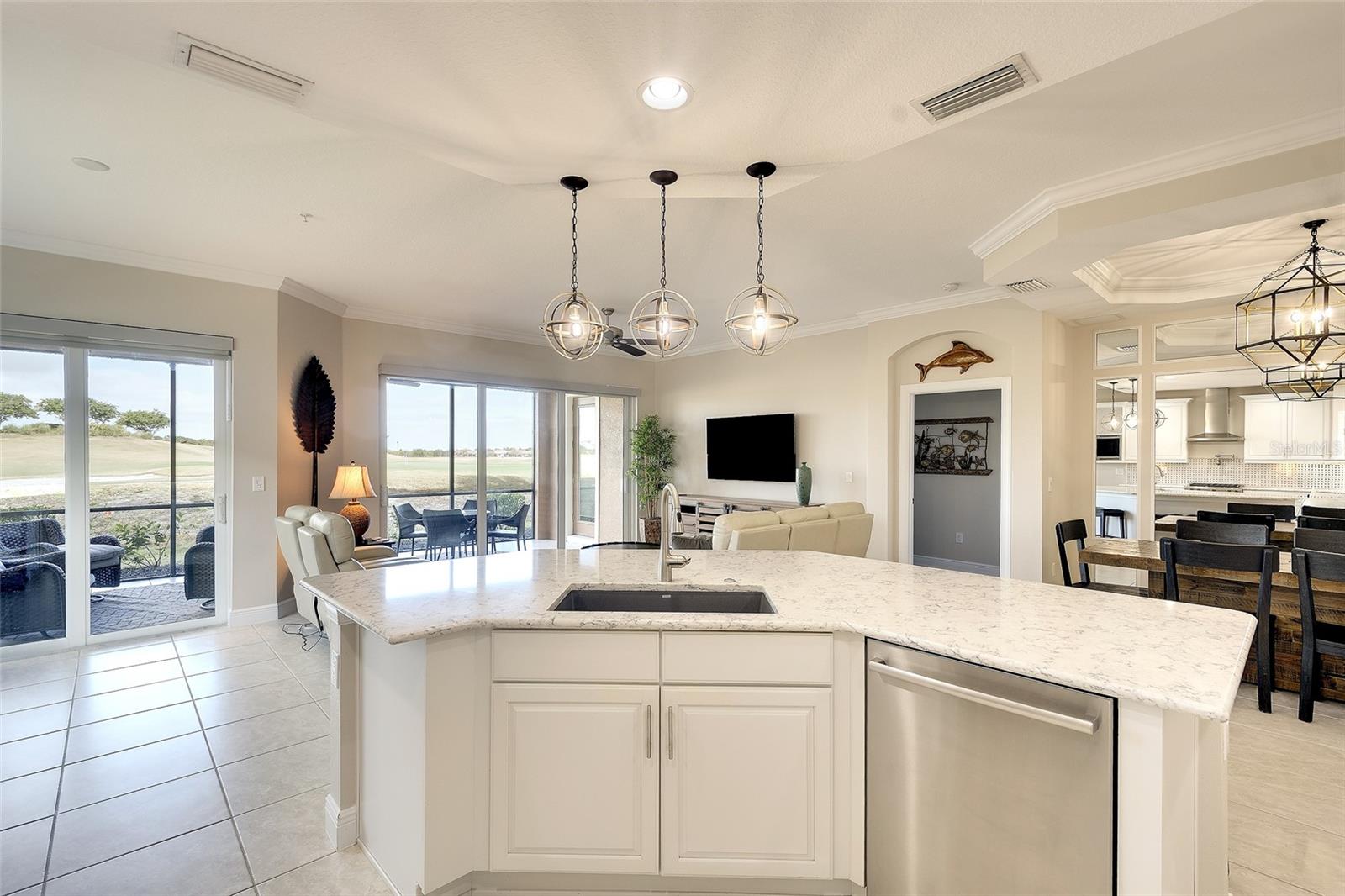 Image 17 of 33 For 7482 Divot Loop 6a