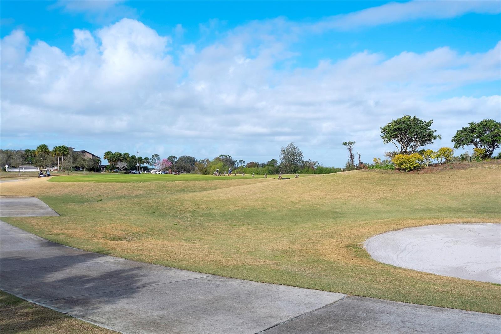 Image 9 of 33 For 7482 Divot Loop 6a