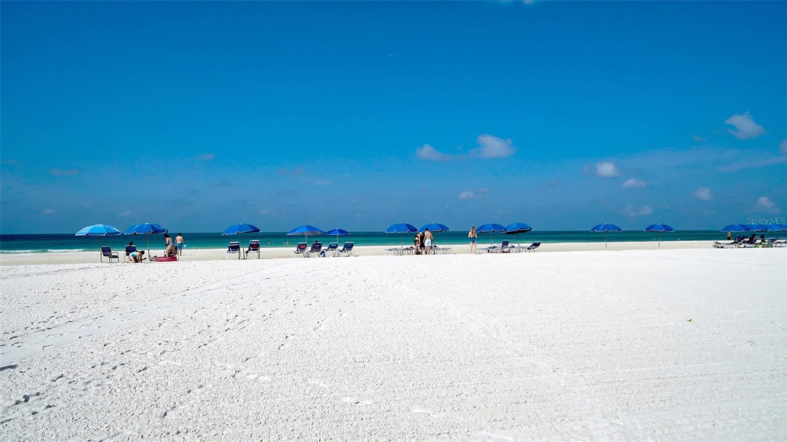 Image 81 of 89 For 5920 Midnight Pass Road 1003