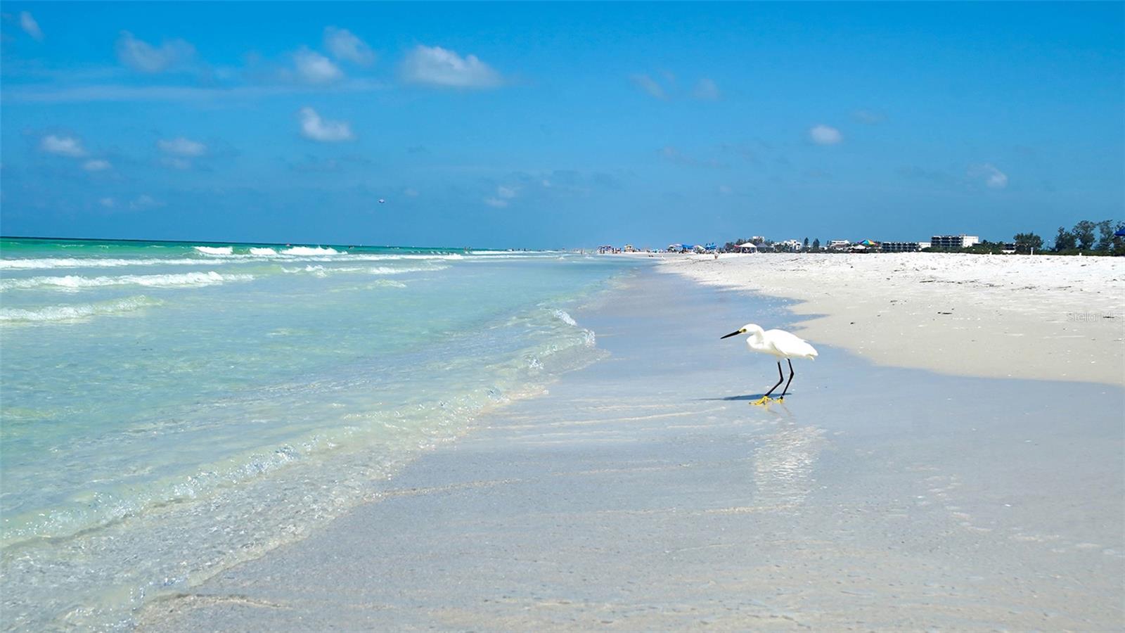 Image 87 of 89 For 5920 Midnight Pass Road 1003