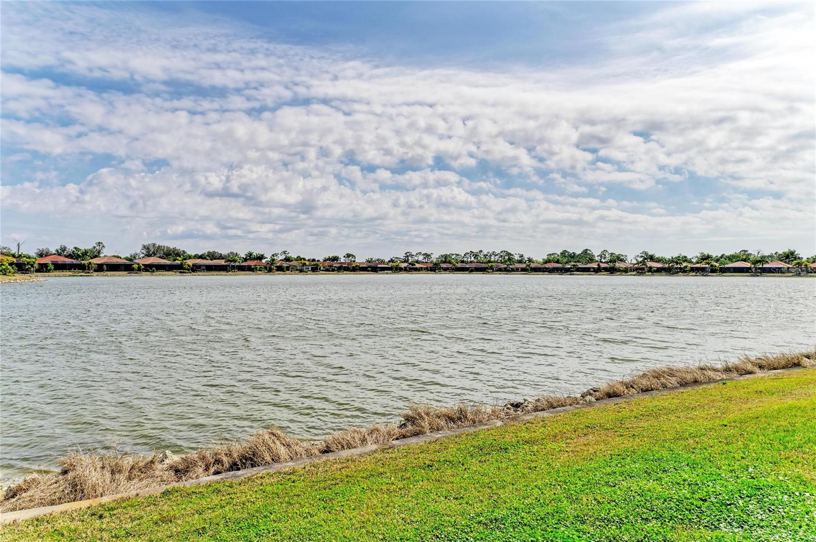 Image 36 of 87 For 277 Villoresi Boulevard