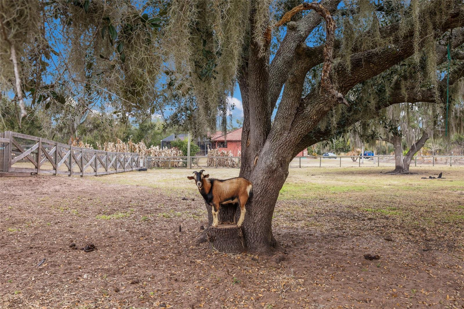 Image 24 of 48 For 2731 Logue Road