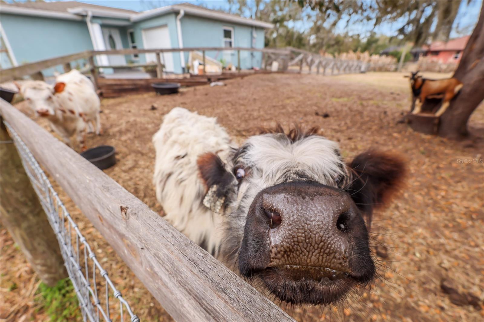 Image 25 of 48 For 2731 Logue Road