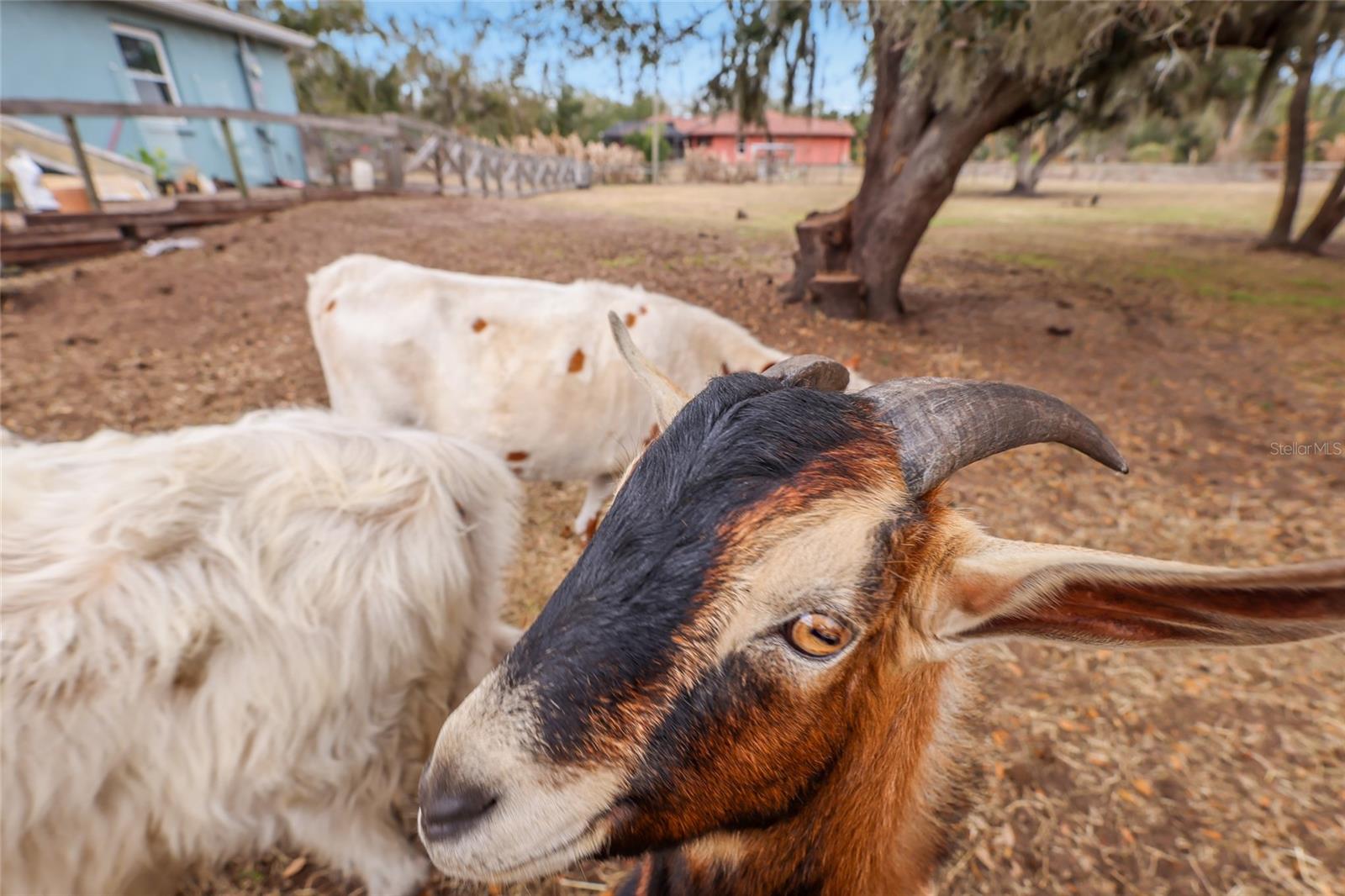 Image 28 of 48 For 2731 Logue Road