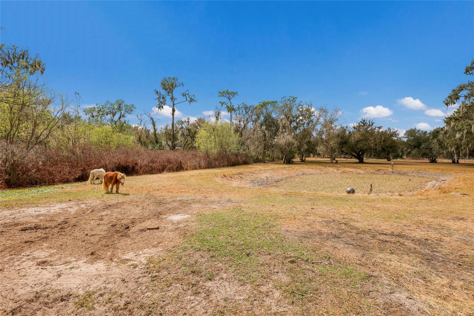 Image 33 of 48 For 2731 Logue Road